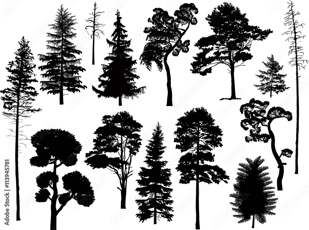 set of fourteen black trees - obrazy, fototapety, plakaty 