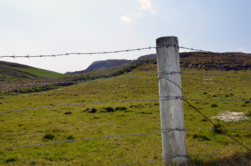 barbed wire and wooden stake boundary of pasture