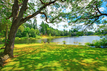 summer landscape on the river bank with two chairs. mcniel island, washington
