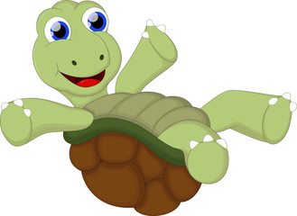 turtle cartoon for you design