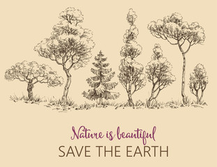 Wall Mural - Line of trees, Save the Earth card