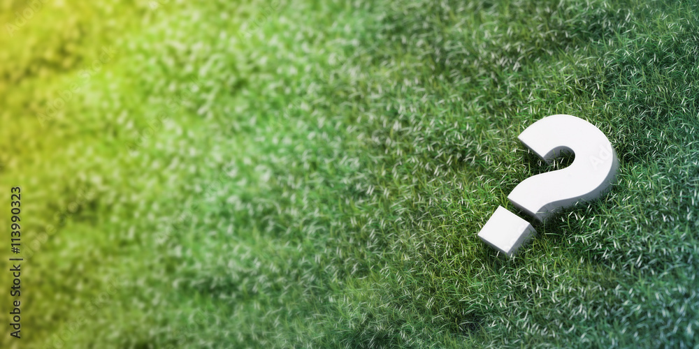 Question mark on the grass, 3d rendering