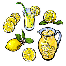 Lemonade With Lemon In A Transparent Jug, Vector Sketch Hand-drawn Illustration Isolated On White Background, Cut The Lemon Juice And Lemonade In A Glass And Fresh Cold Juice