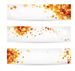 Wall Mural - set of autumn banners