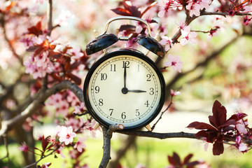 Poster - Alarm clock in spring blooming branches