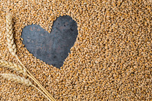 Grey Metal Heart From Seeds Of Ripe Golden Wheat