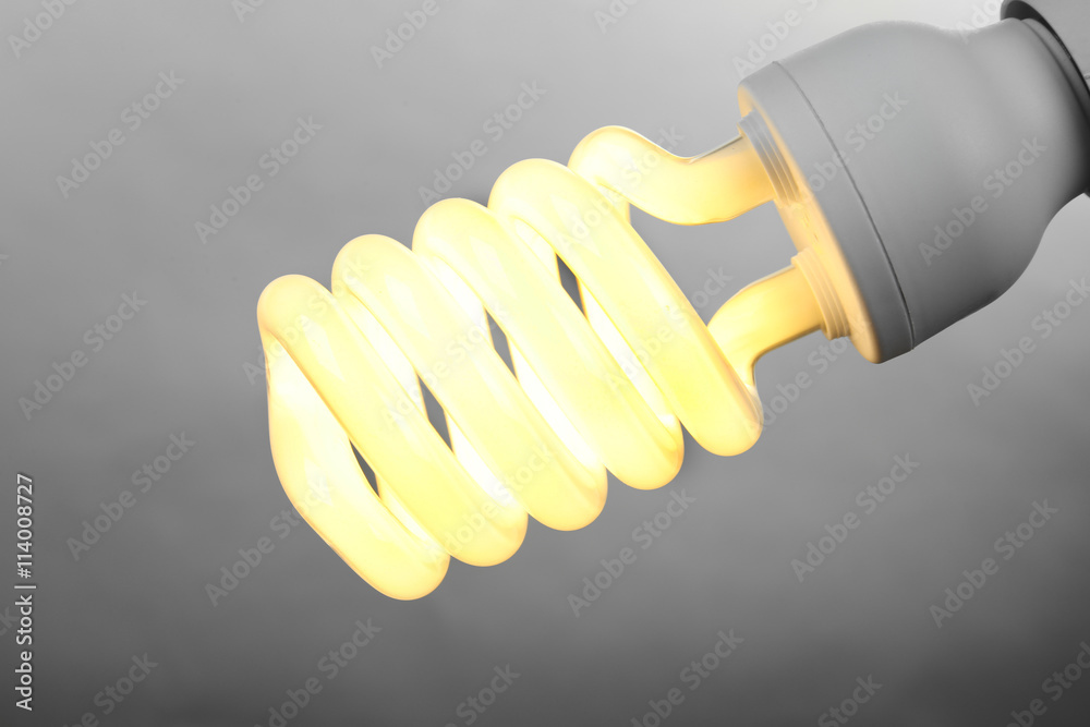 Eco light bulb on light background