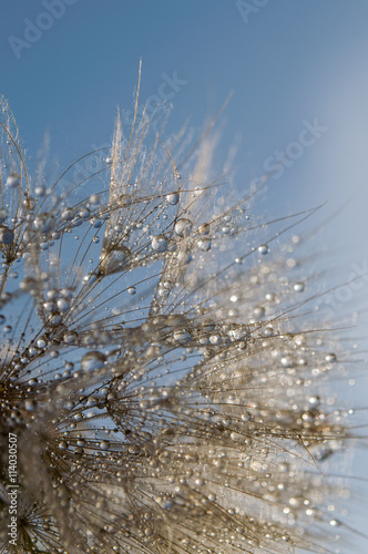 Naklejka na szybę Abstract macro photo