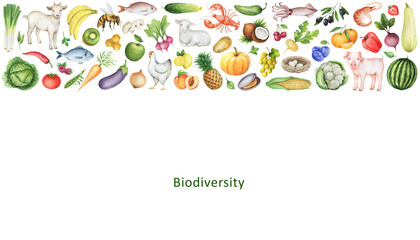 Watercolor banner of the biodiversity.