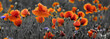 Panorama z nmaków polnych i kwiatów polnych