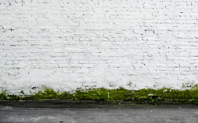 white painted brick wall background