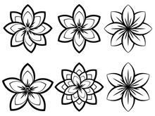 Simple Black And White Flowers
