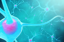 Neurons In The Brain On Blue Background. 3d Illustration