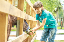 Outdoor Portrait Of Young Happy Young Boy Feeding Donkey On Farm