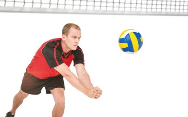 Wall Mural - Sportsman posing while playing volleyball