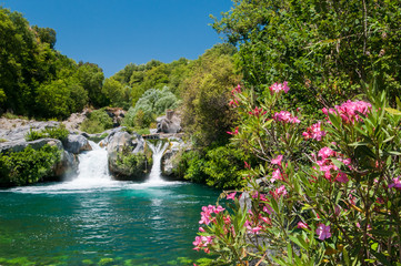 Oleander plant, a natural pool and a fall of the Alcantara river park, Sicily