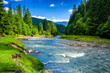 Leinwandbild Motiv Mountain river in spruce forest