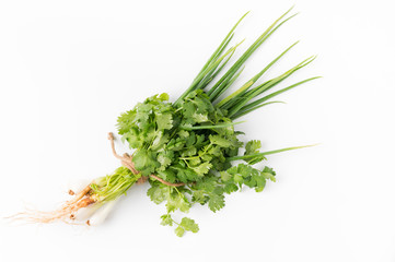 Wall Mural -  Spring onion and coriander