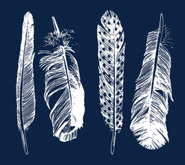 Wall Mural - Hand drawn feathers set 