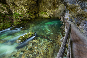 soteska Vintgar in the river Radovna