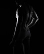 © dianashender - beautiful men's sporty body in backlight on the black background