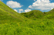 June landscape with blue cloudy sky over ravine overgrown with green herbs in central Ukraine