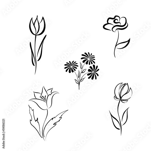Flower set. Engraved hand drawing floral background design