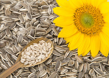 Rich And Nutritious Sunflower Seeds