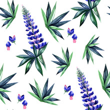 Watercolor Lupines Seamless Pattern. Spring Flower.