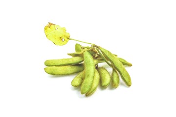 Wall Mural - soybean