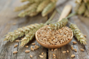 Wheat in spoon