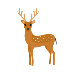  Deer. Vector illustration.