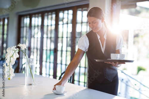 Cuadros en Lienzo Smiling waitress serving cup of coffee