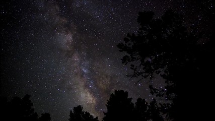 Wall Mural - Milky Way stars high above a pine forest - time lapse