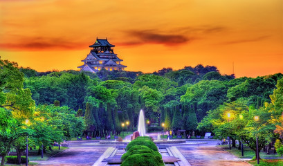 Wall Mural - View of Osaka Castle Park in Japan