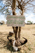 Warning Sign On Tree At Safari Camp, Tanzania