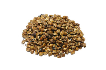 Japanese roasted barley tea husk isolated