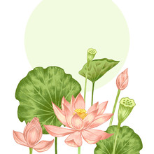 Illustration With Exotic Flowers.
