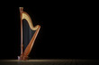 © trodler1 - Harp aged on white 3D rendering