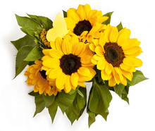 Bouquet Of Sunflowers With Paper Butterfly, On White