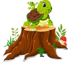 Cartoon Turtle And Frog Posing On Tree Stump
