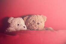 A Couple Of Bear Doll In Red Bed Under Sunlight From The Right Corner As For Represent A Lover Under The Morning Light