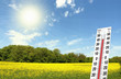 Hitze am Feld bei 40 grad Temperatur am Thermometer, Sonne, Klimawandel 