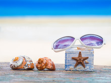 Sunglasses On The Seashell Box