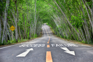 Wall Mural - Words of success and failure with white arrow and yellow line marking on road surface