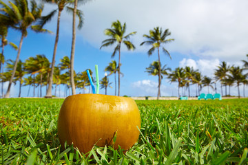 Miami South Beach 2 straws coconut Florida