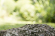 © madejadesign - Empty wooden deck table with bokeh background