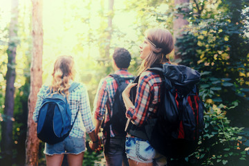 Wall Mural - people trekking in forest
