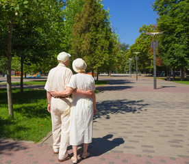 Wall Mural - The happy old couple in the summer on a walk