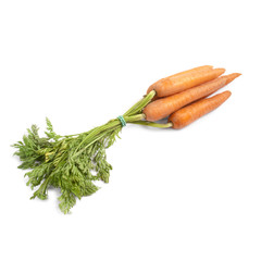 Wall Mural - Carrots isolated on white background